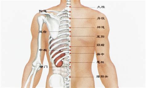 右背有痣男